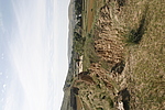 平鲁城