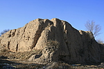 ׯ層